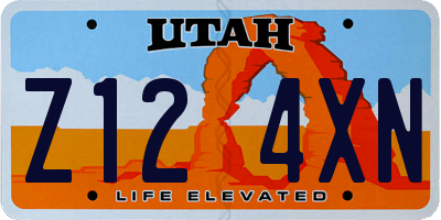 UT license plate Z124XN