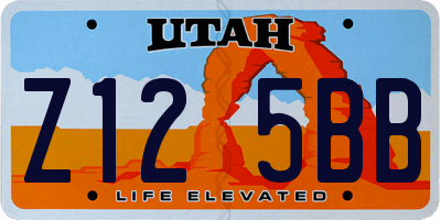 UT license plate Z125BB