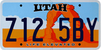UT license plate Z125BY