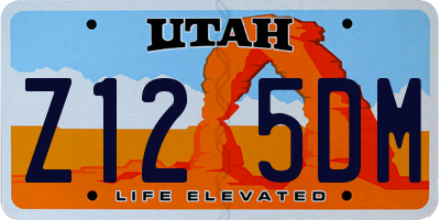 UT license plate Z125DM