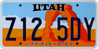 UT license plate Z125DY