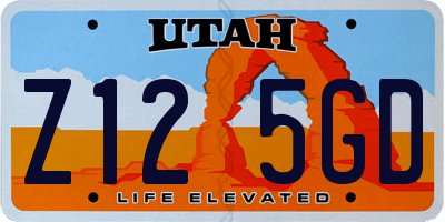 UT license plate Z125GD