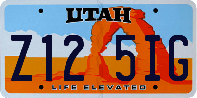 UT license plate Z125IG