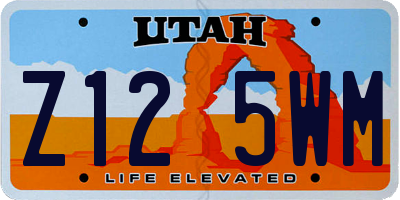 UT license plate Z125WM
