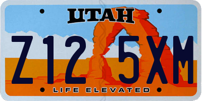 UT license plate Z125XM