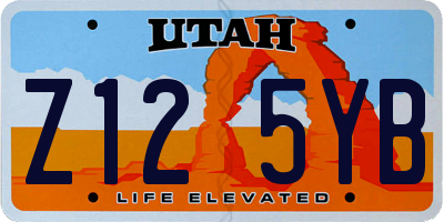UT license plate Z125YB