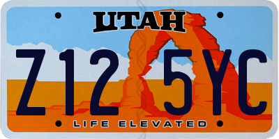 UT license plate Z125YC