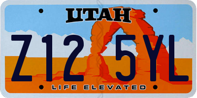 UT license plate Z125YL