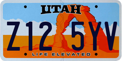 UT license plate Z125YV