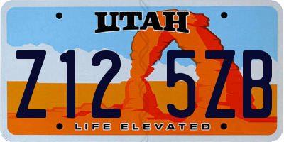 UT license plate Z125ZB