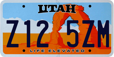UT license plate Z125ZM
