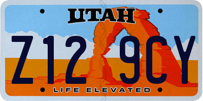 UT license plate Z129CY