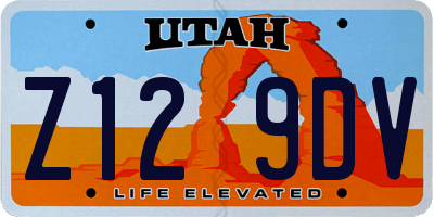 UT license plate Z129DV