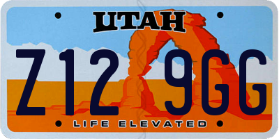 UT license plate Z129GG