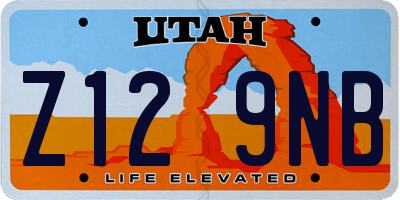 UT license plate Z129NB