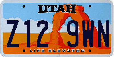 UT license plate Z129WN