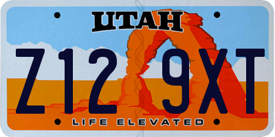 UT license plate Z129XT