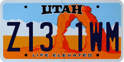 UT license plate Z131WM