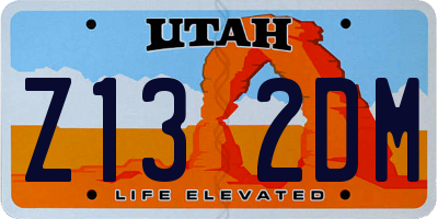 UT license plate Z132DM