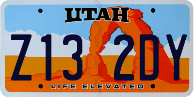 UT license plate Z132DY