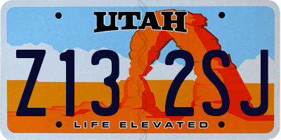 UT license plate Z132SJ