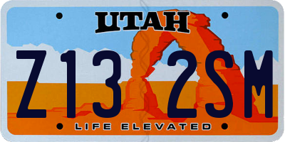 UT license plate Z132SM