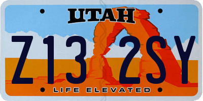 UT license plate Z132SY