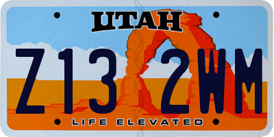 UT license plate Z132WM