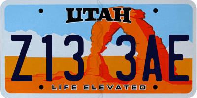 UT license plate Z133AE