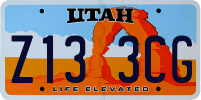 UT license plate Z133CG
