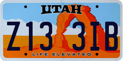 UT license plate Z133IB