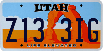 UT license plate Z133IG