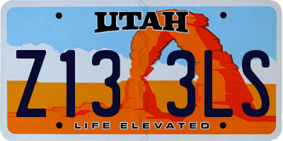 UT license plate Z133LS