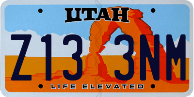 UT license plate Z133NM