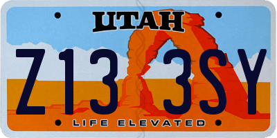 UT license plate Z133SY