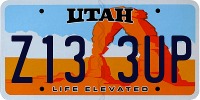 UT license plate Z133UP