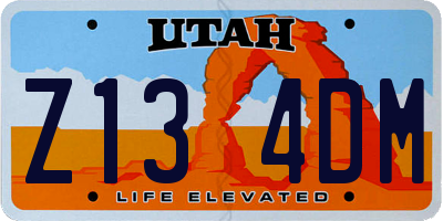 UT license plate Z134DM