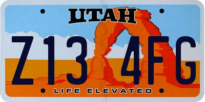 UT license plate Z134FG