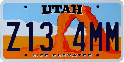 UT license plate Z134MM