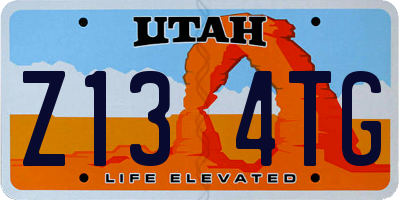UT license plate Z134TG