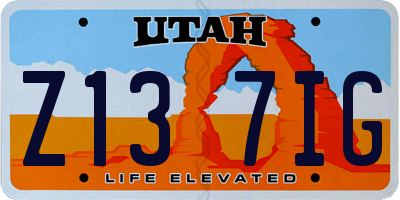 UT license plate Z137IG
