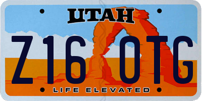 UT license plate Z160TG