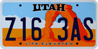 UT license plate Z163AS