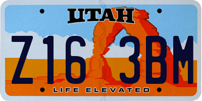 UT license plate Z163BM