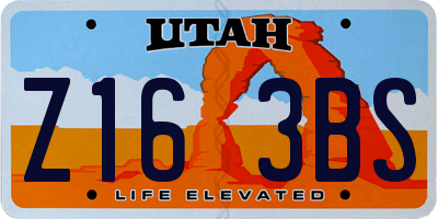 UT license plate Z163BS