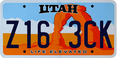 UT license plate Z163CK