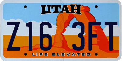 UT license plate Z163FT