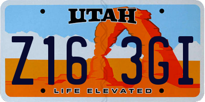 UT license plate Z163GI