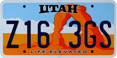 UT license plate Z163GS