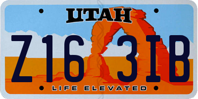 UT license plate Z163IB